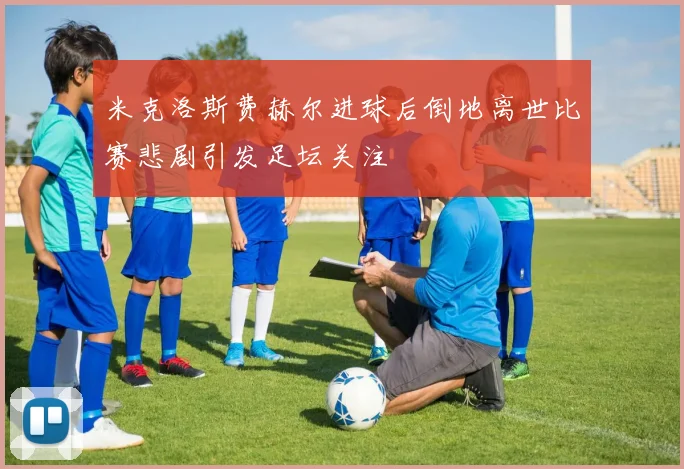 米克洛斯费赫尔进球后倒地离世比赛悲剧引发足坛关注