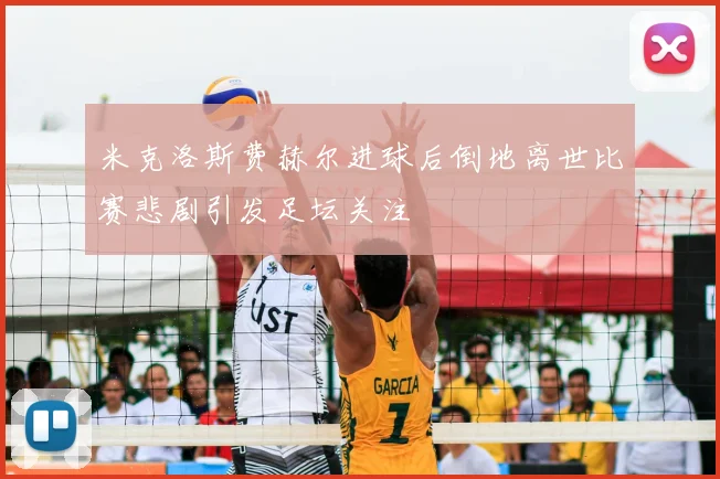 米克洛斯费赫尔进球后倒地离世比赛悲剧引发足坛关注