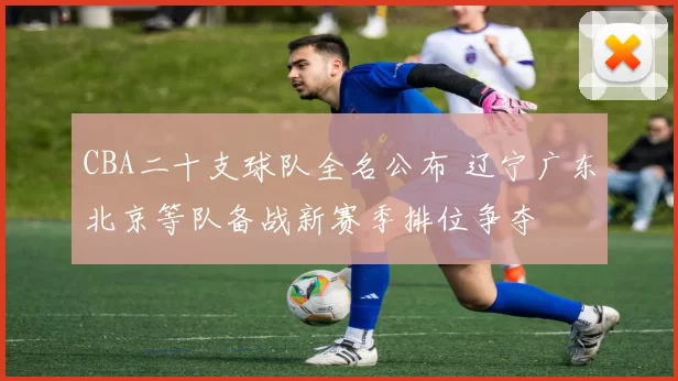 CBA二十支球队全名公布 辽宁广东北京等队备战新赛季排位争夺